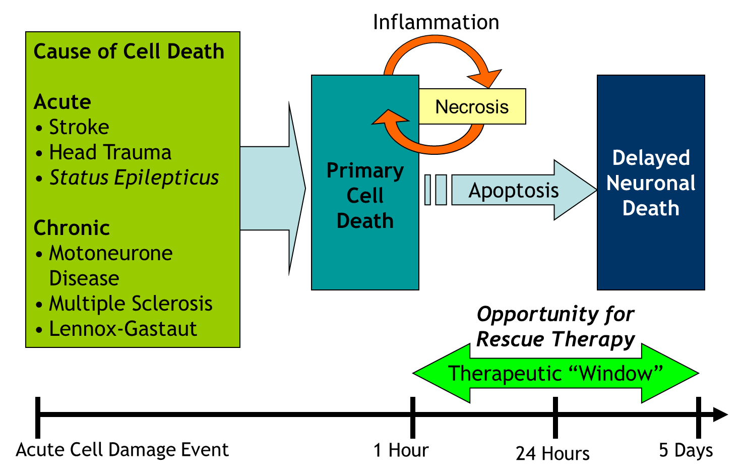 causes of cell death in acute and chronic CNS injuries or diseases